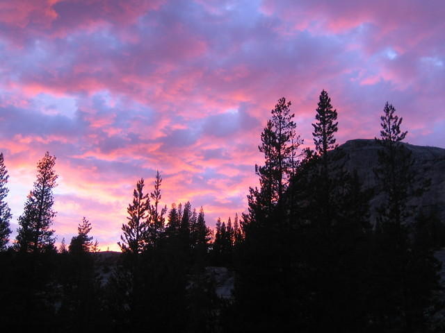 IMG_5938.jpg