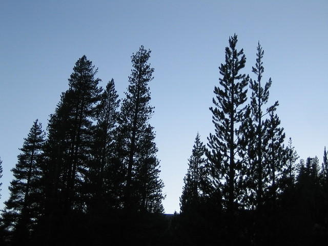 IMG_5947.jpg