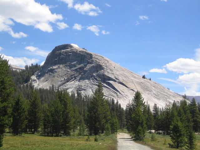 IMG_5967.jpg