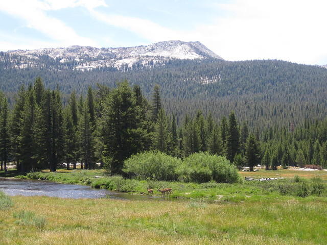 IMG_5973.jpg