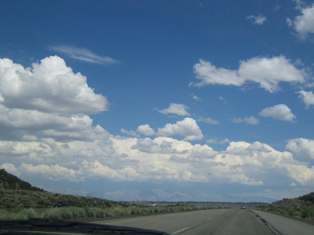 IMG_5974.jpg