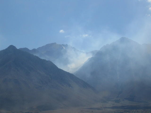 IMG_5984.jpg