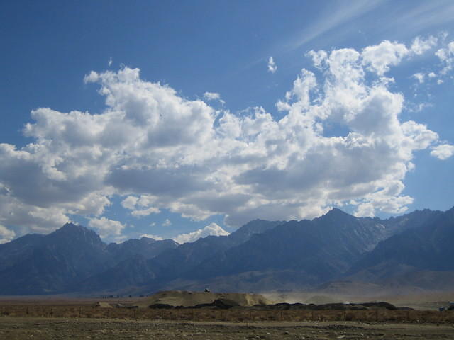 IMG_5985.jpg
