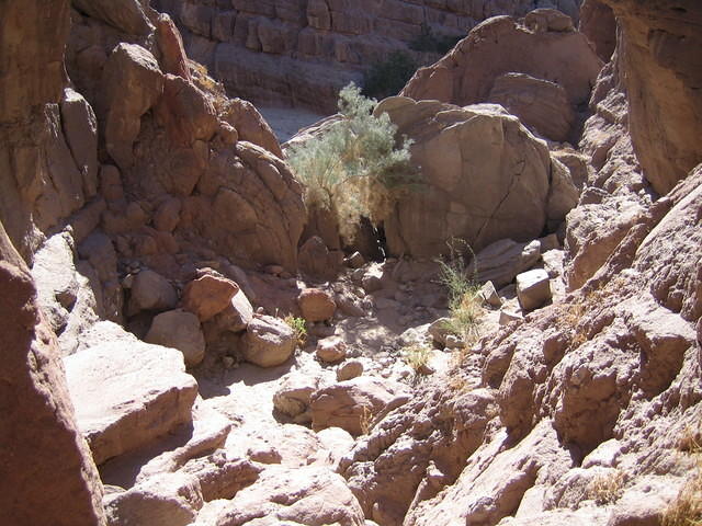 IMG_0701.jpg