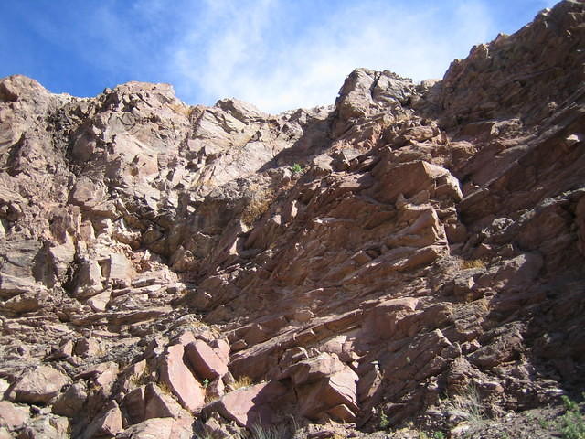IMG_0721.jpg