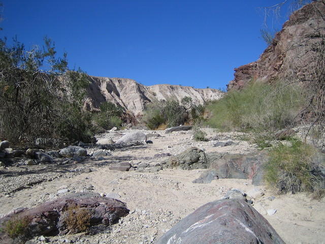 IMG_0722.jpg