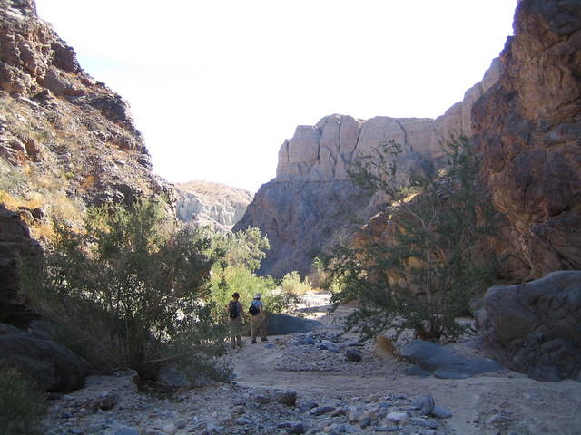 IMG_0729.jpg