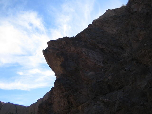 IMG_0730.jpg
