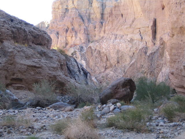 IMG_0736.jpg