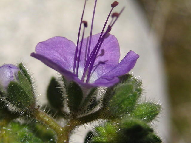 IMG_5957.jpg
