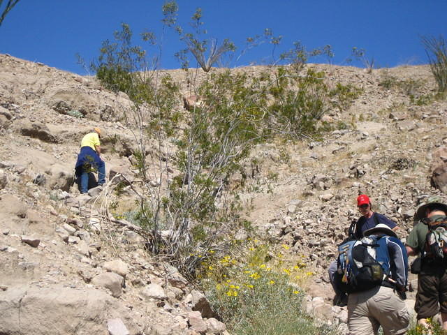 IMG_5976.jpg
