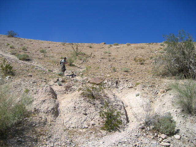 IMG_6011.jpg