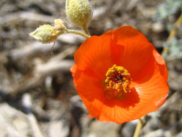 IMG_6013.jpg