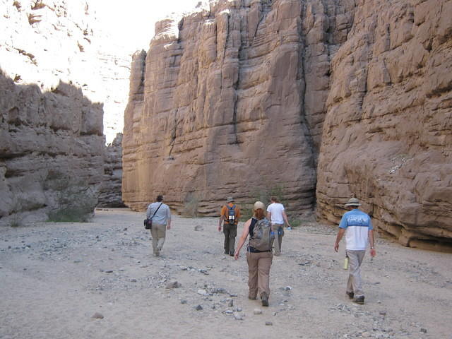 IMG_0903.jpg