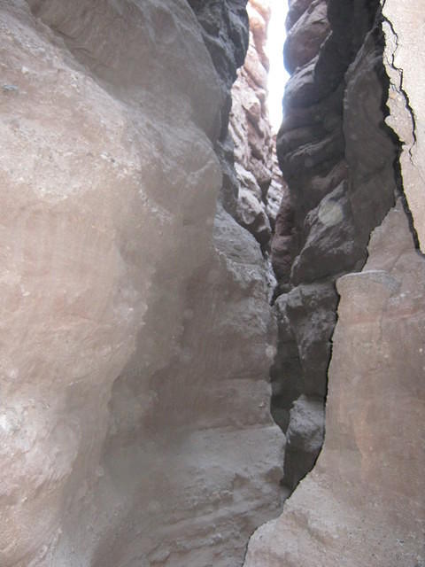 IMG_0917.jpg