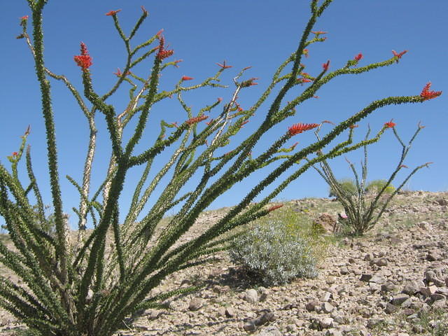 IMG_0996.jpg