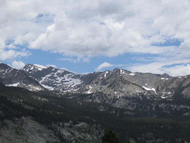 IMG_1548.jpg