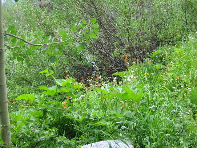 IMG_1553.jpg