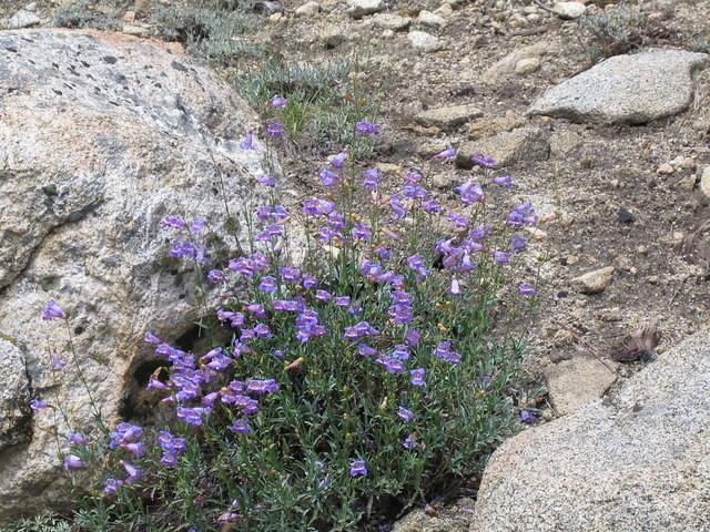 IMG_1554.jpg