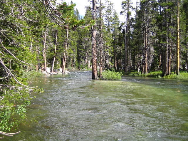 IMG_1561.jpg