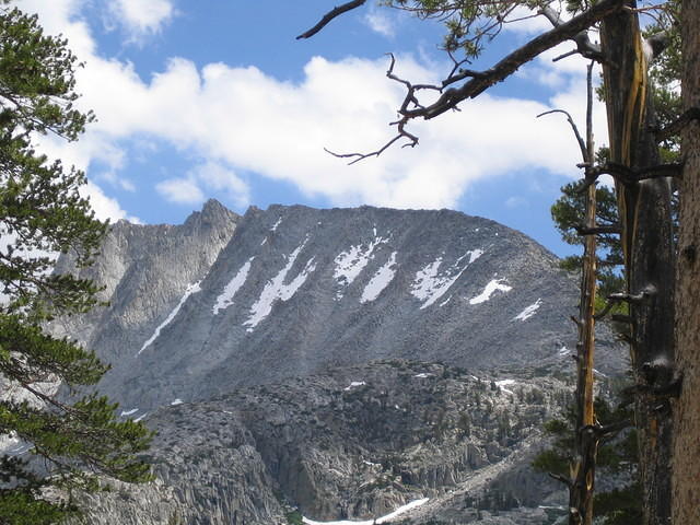 IMG_1572.jpg