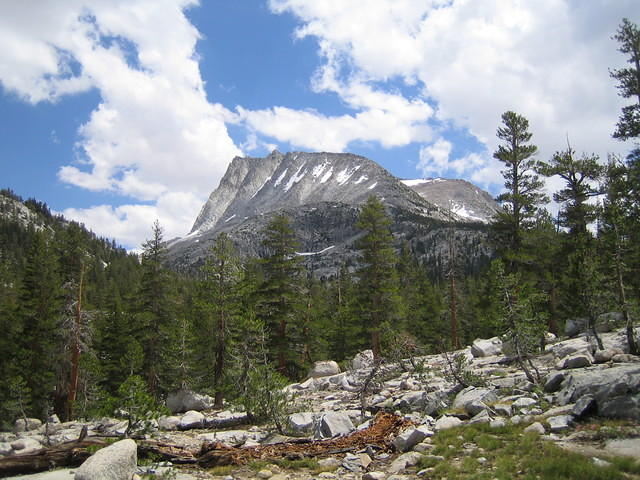 IMG_1573.jpg