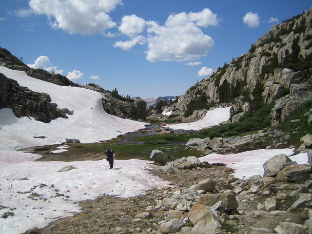 IMG_1618.jpg