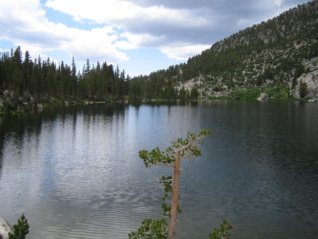 IMG_1625.jpg