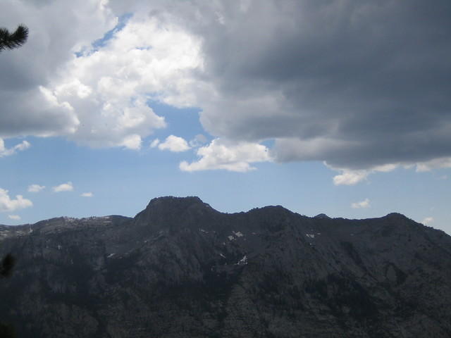 IMG_1631.jpg