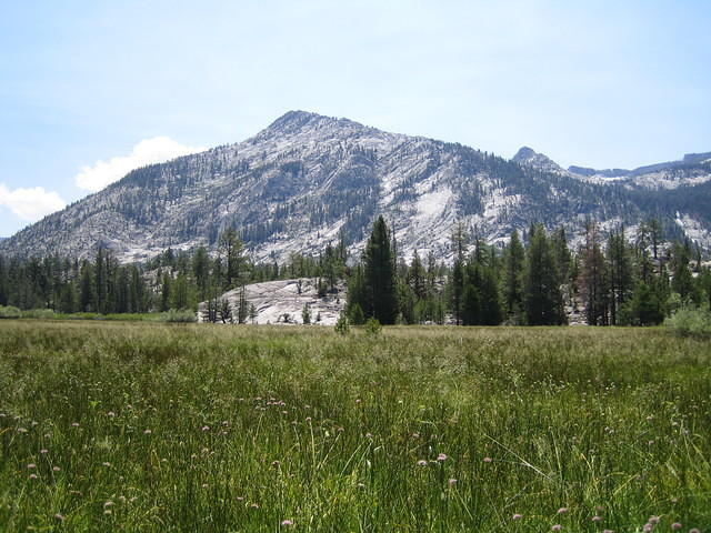 IMG_1633.jpg