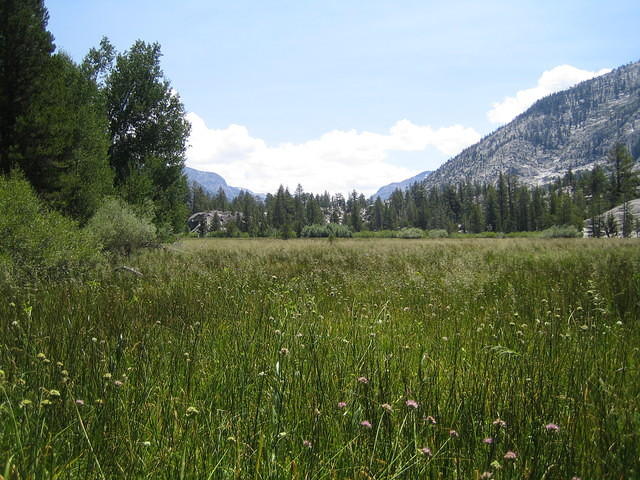 IMG_1634.jpg