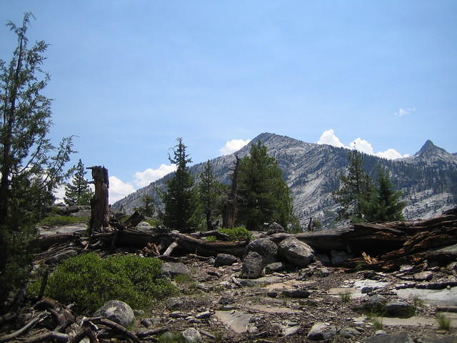 IMG_1636.jpg