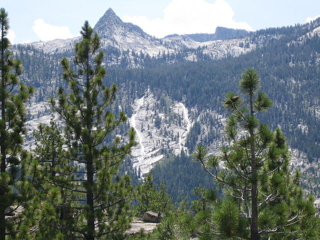 IMG_1637.jpg