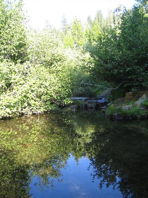IMG_6145.jpg