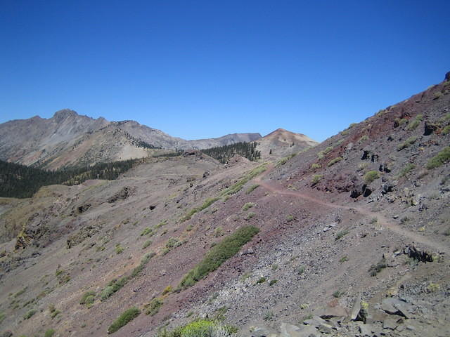 IMG_4745.jpg