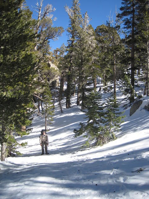 IMG_0655.jpg