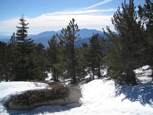 IMG_0667.jpg