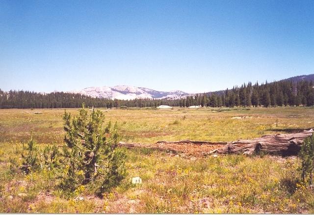 17March002.jpg