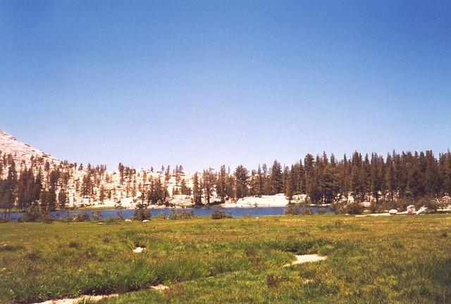 17March045.jpg