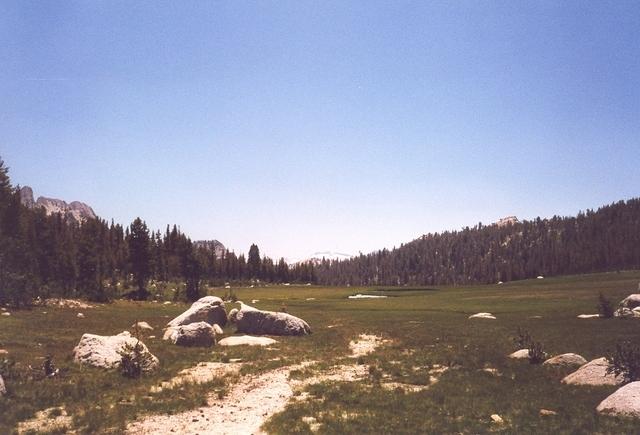17March054.jpg