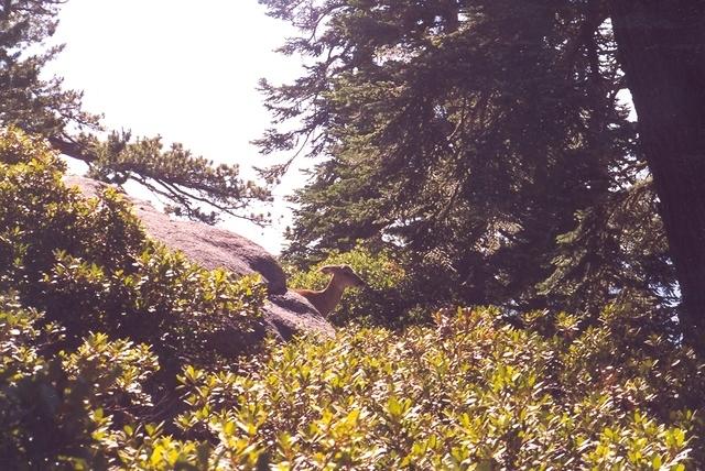 20March028.jpg