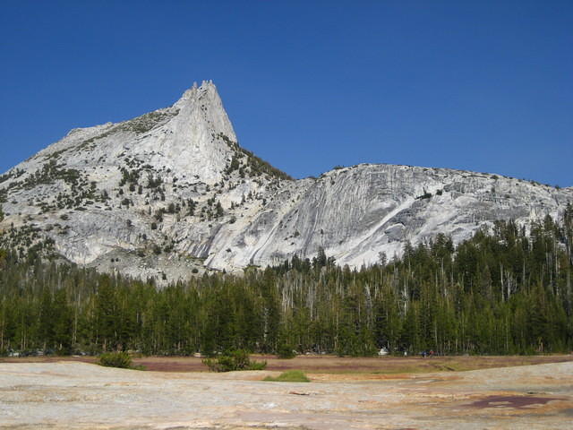 IMG_2837.jpg