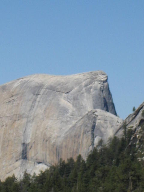 IMG_2858.jpg