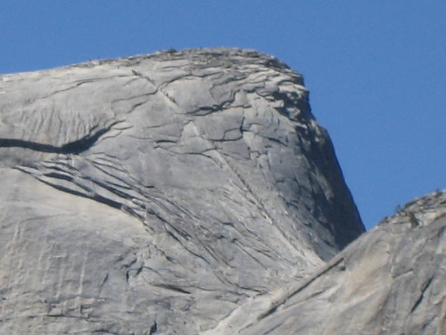 IMG_2867.jpg