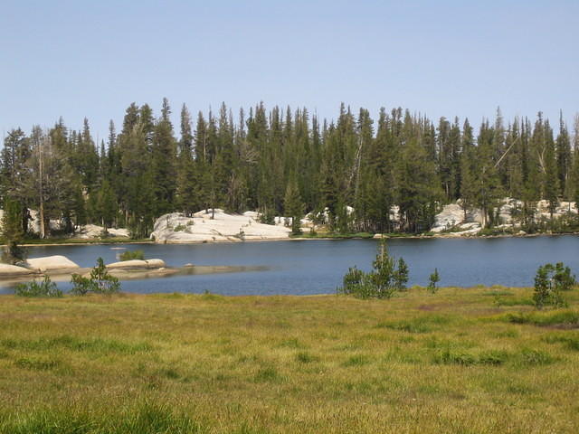 IMG_4035.jpg