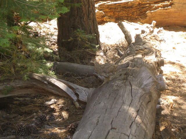 IMG_4067.jpg