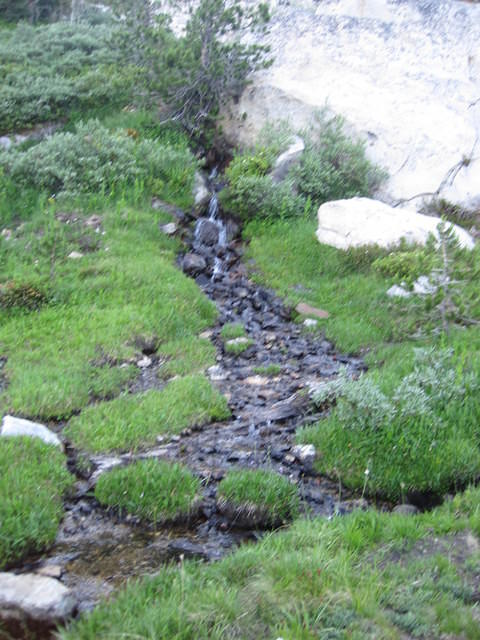 IMG_1622.JPG