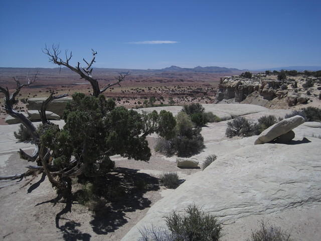 IMG_7251.JPG