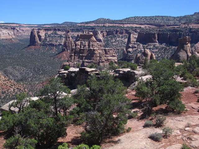 IMG_7266.JPG