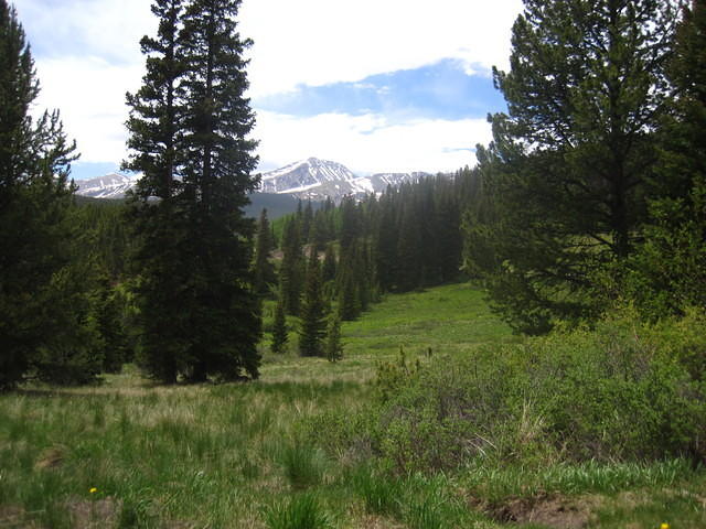 IMG_7365.JPG